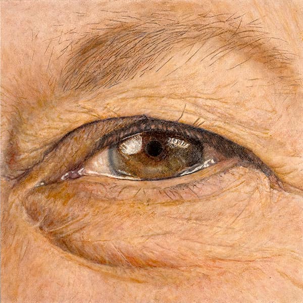 The Lover – Panel 2, photorealistic oil painting by Frank Brennan, 2024: close-up of a woman’s open eye.